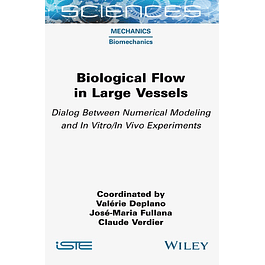 Biological Flow in Large Vessels: Dialog Between Numerical Modeling and In Vitro/In Vivo Experiments