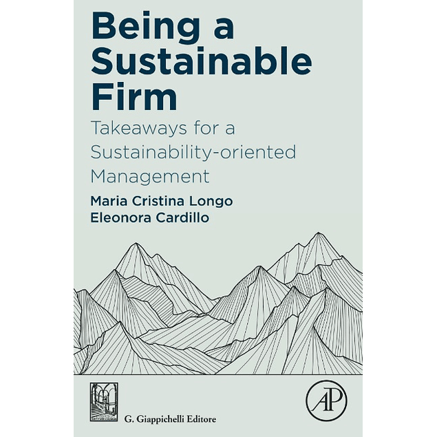 Being a Sustainable Firm: Takeaways for a Sustainability-Oriented Management