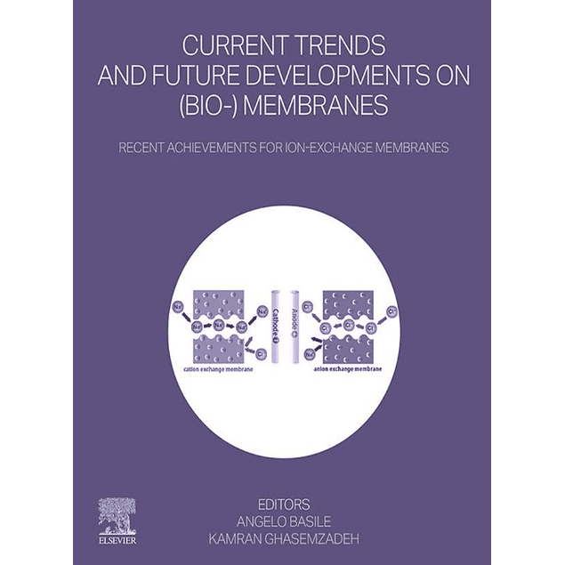 Current Trends and Future Developments on (Bio-) Membranes: Recent Achievements for Ion-Exchange Membranes 