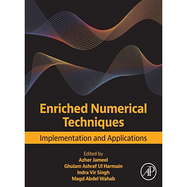 Enriched Numerical Techniques: Implementation and Applications