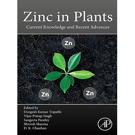 Zinc in Plants: Current Knowledge and Recent Advances