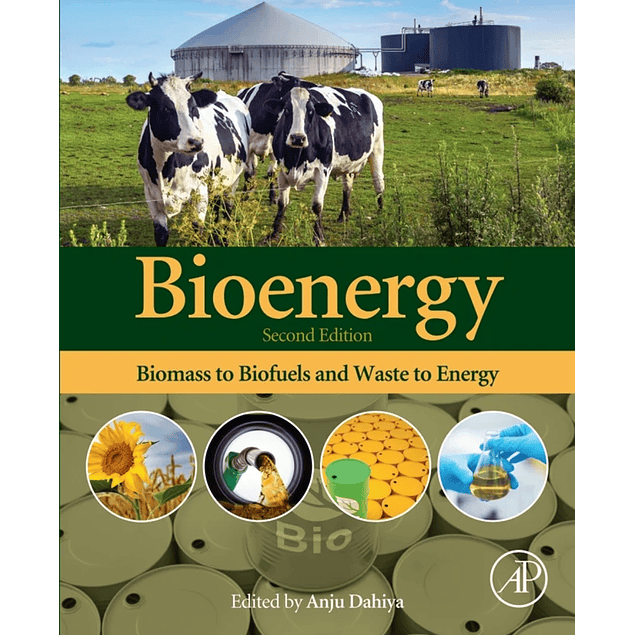 Bioenergy: Biomass to Biofuels and Waste to Energy 2nd Edition