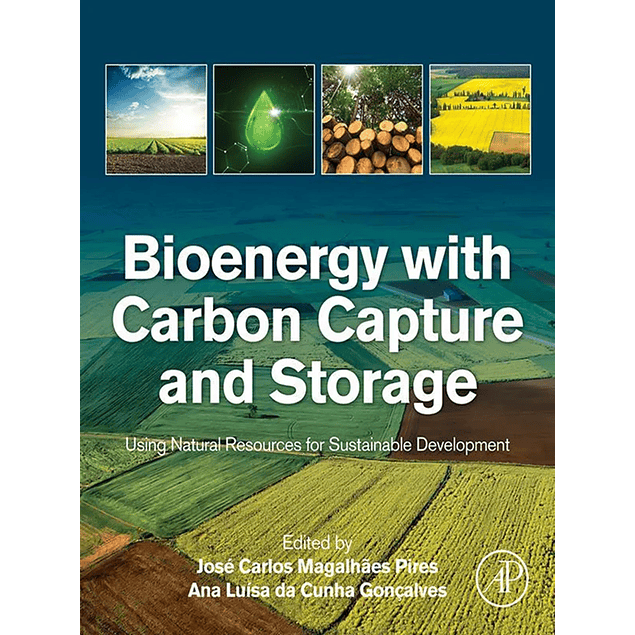 Bioenergy with Carbon Capture and Storage: Using Natural Resources for Sustainable Development