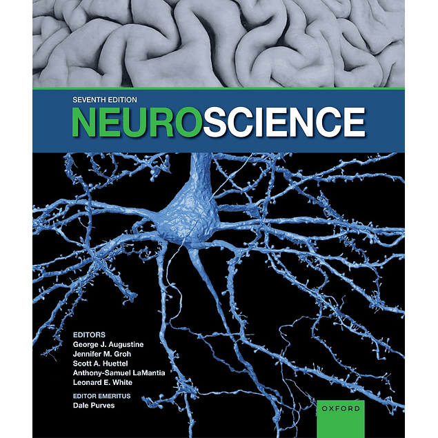 Neuroscience 7th Edition