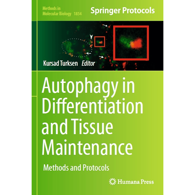 Autophagy in Differentiation and Tissue Maintenance: Methods and Protocols