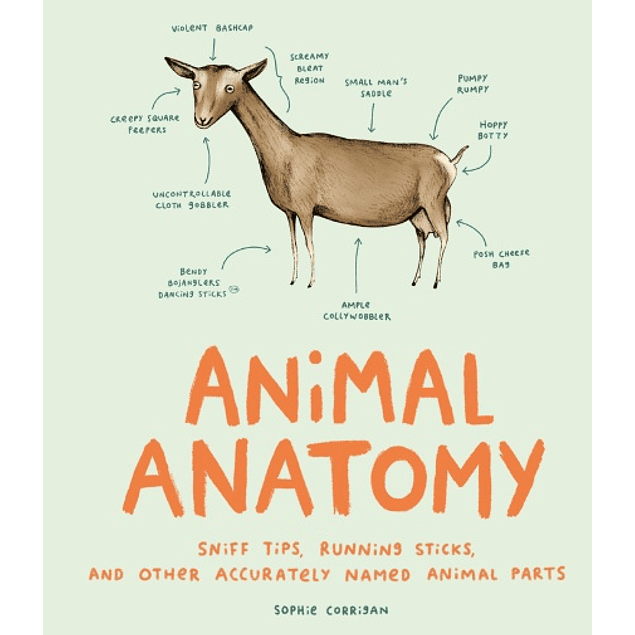  Animal Anatomy: Sniff Tips, Running Sticks, and Other Accurately Named Animal Parts