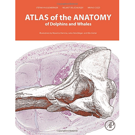  Atlas of the Anatomy of Dolphins and Whales