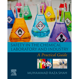 Safety in the Chemical Laboratory and Industry: A Practical Guide