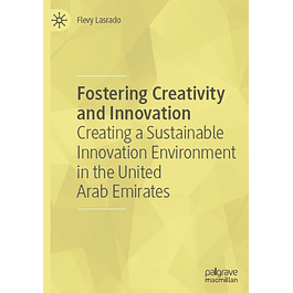 Fostering Creativity and Innovation: Creating a Sustainable Innovation Environment in the United Arab Emirates