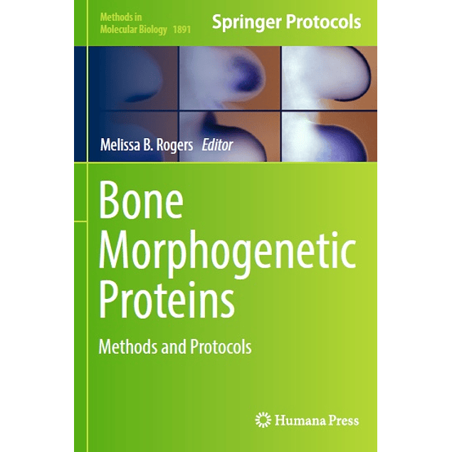 Bone Morphogenetic Proteins: Methods and Protocols