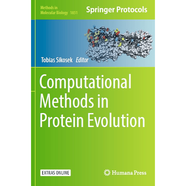  Computational Methods in Protein Evolution