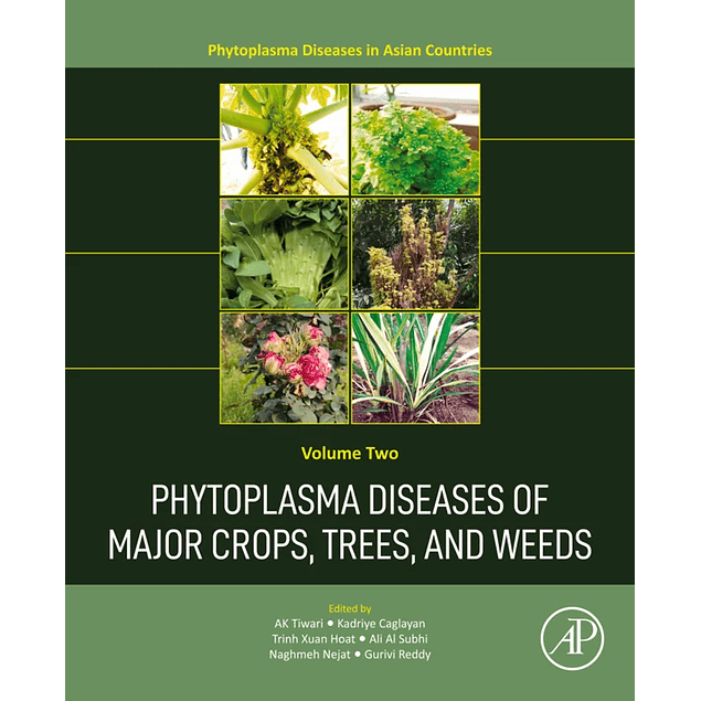 Phytoplasma Diseases of Major Crops, Trees, and Weeds