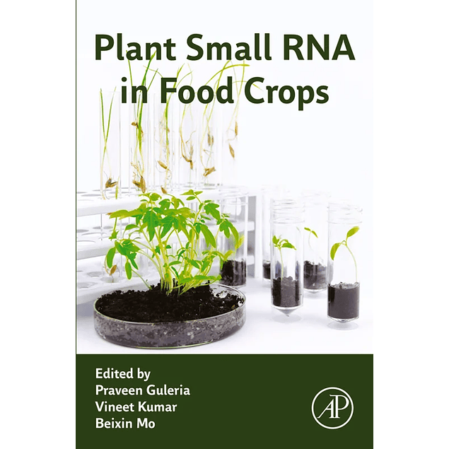 Plant Small RNA in Food Crops