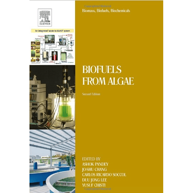 Biofuels from Algae: Sustainable Platform for Fuels, Chemicals and Remediation