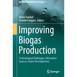 Improving Biogas Production: Technological Challenges, Alternative Sources, Future Developments