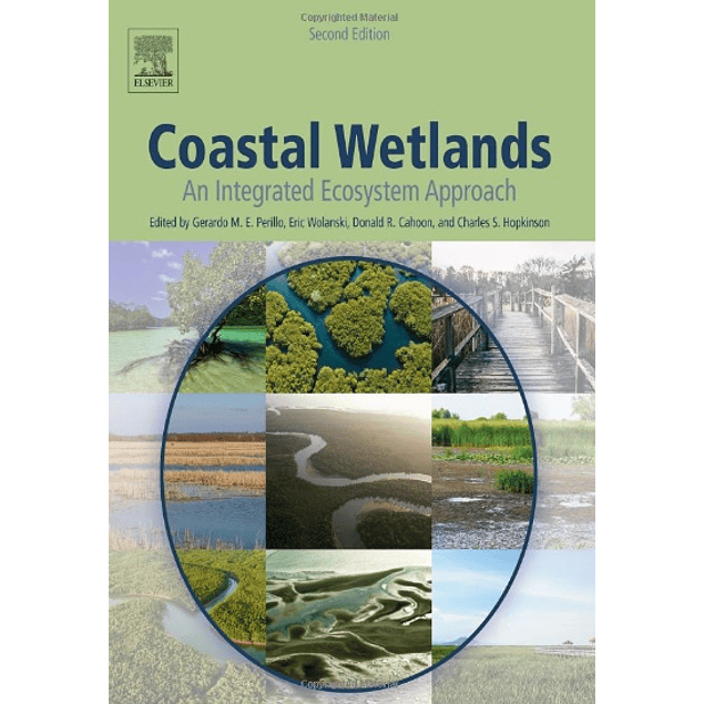  Coastal Wetlands: An Integrated Ecosystem Approach 