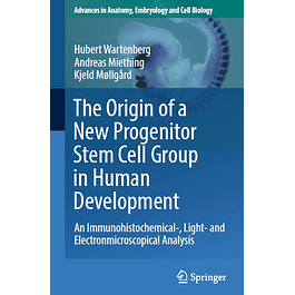 The Origin of a New Progenitor Stem Cell Group in Human Development: An Immunohistochemical-, Light- and Electronmicroscopical Analysis