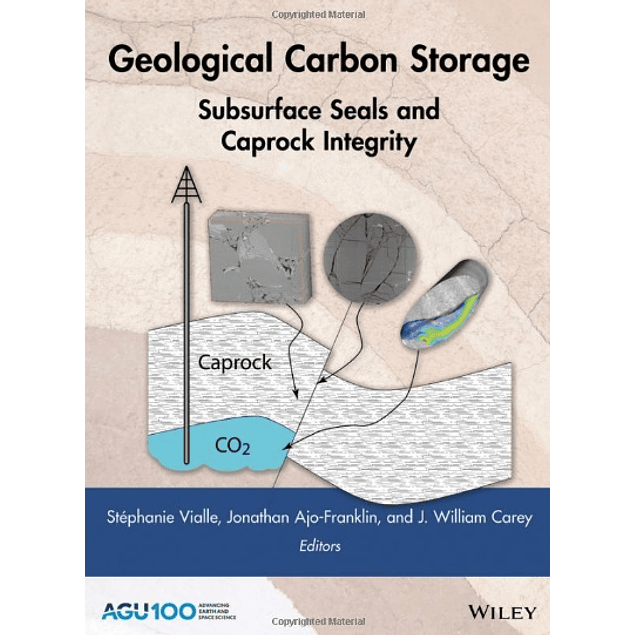 Geological Carbon Storage: Subsurface Seals and Caprock Integrity