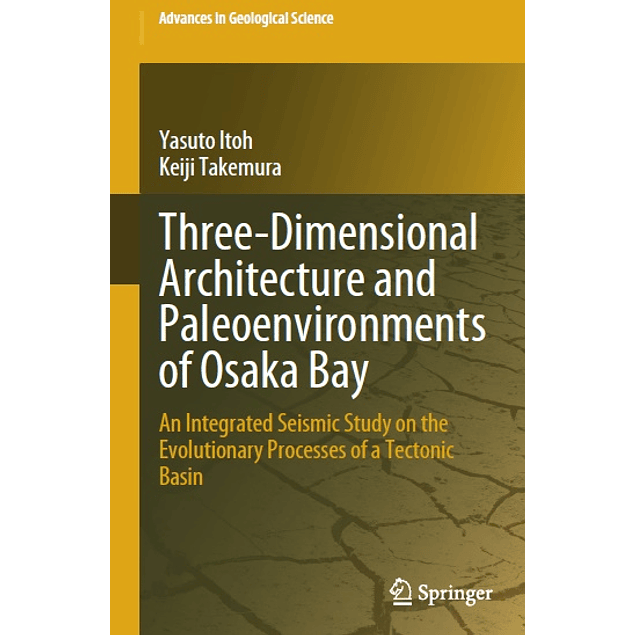 Three-Dimensional Architecture and Paleoenvironments of Osaka Bay: An Integrated Seismic Study on the Evolutionary Processes of a Tectonic Basin