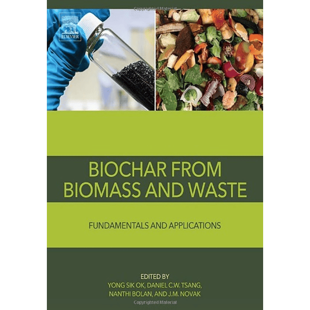 Biochar from Biomass and Waste: Fundamentals and Applications