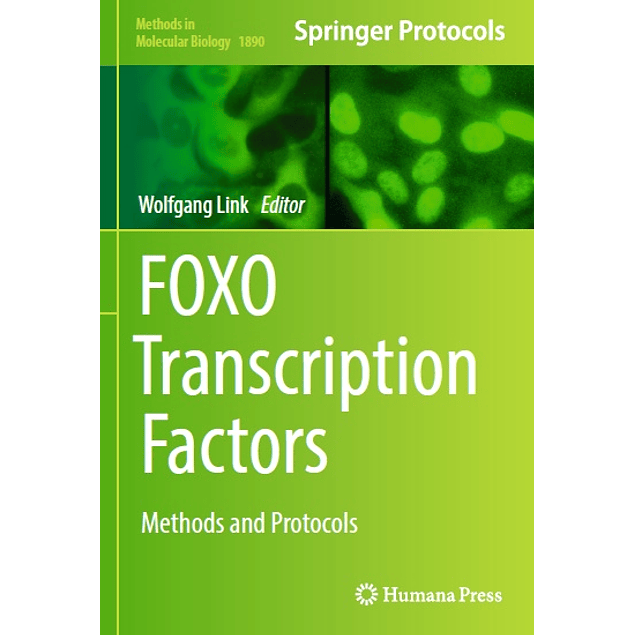 FOXO Transcription Factors: Methods and Protocols