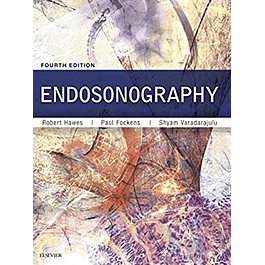 Endosonography 