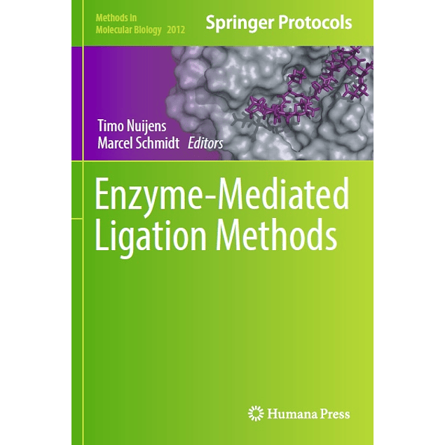  Enzyme-Mediated Ligation Methods