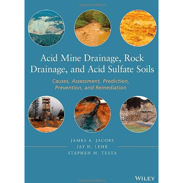  Acid Mine Drainage, Rock Drainage, and Acid Sulfate Soils: Causes, Assessment, Prediction, Prevention, and Remediation 