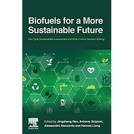 Biofuels for a More Sustainable Future: Life Cycle Sustainability Assessment and Multi-Criteria Decision Making