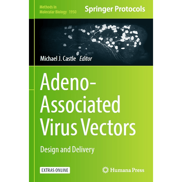 Adeno-Associated Virus Vectors: Design and Delivery