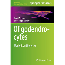 Oligodendrocytes: Methods and Protocols