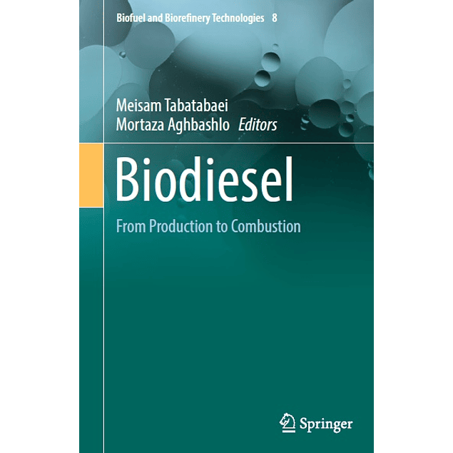 Biodiesel: From Production to Combustion