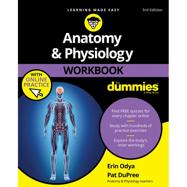  Anatomy & Physiology Workbook For Dummies with Online Practice 