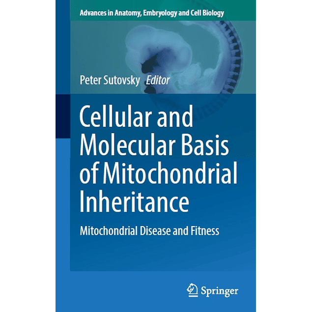 Cellular and Molecular Basis of Mitochondrial Inheritance: Mitochondrial Disease and Fitness