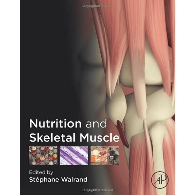  Nutrition and Skeletal Muscle