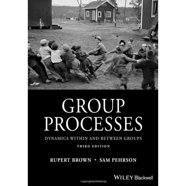 Group Processes: Dynamics within and Between Groups