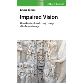 Impaired Vision: How the Visual World May Change after Brain Damage