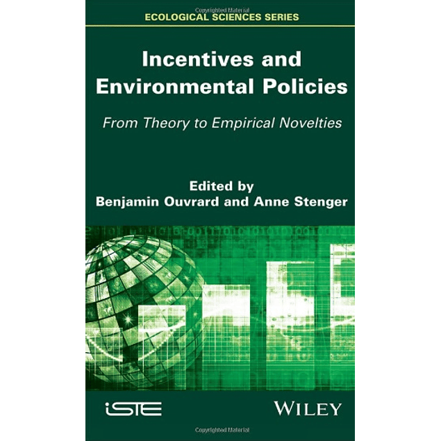 Incentives and Environmental Policies: From Theory to Empirical Novelties