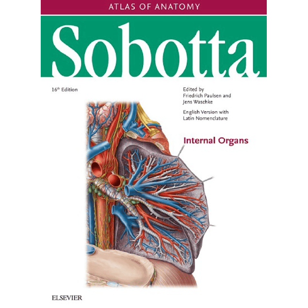 Sobotta Atlas of Anatomy: Internal Organs