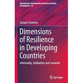 Dimensions of Resilience in Developing Countries: Informality, Solidarities and Carework