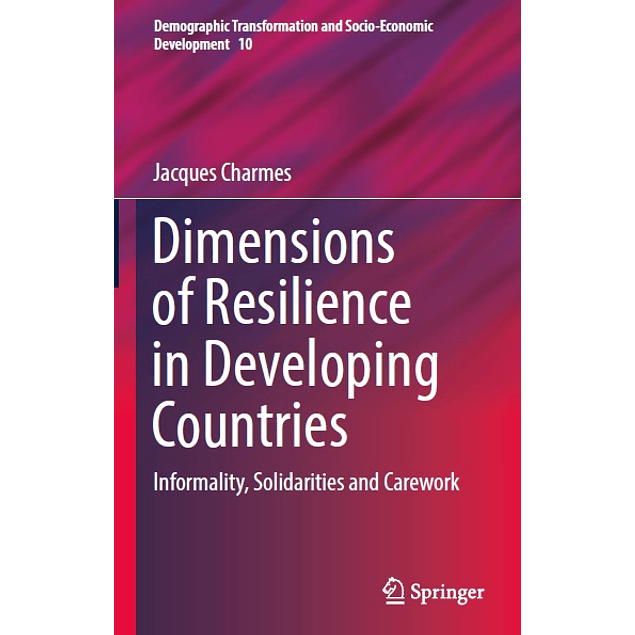 Dimensions of Resilience in Developing Countries: Informality, Solidarities and Carework