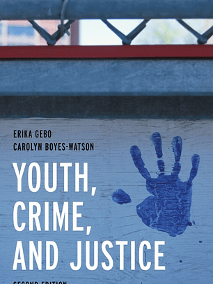 Youth, Crime, and Justice: Learning through Cases