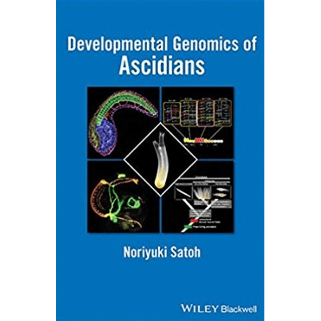 Developmental Genomics of Ascidians