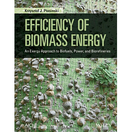 Efficiency of Biomass Energy: An Exergy Approach to Biofuels, Power, and Biorefineries 