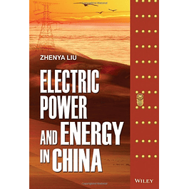  Electric Power and Energy in China 
