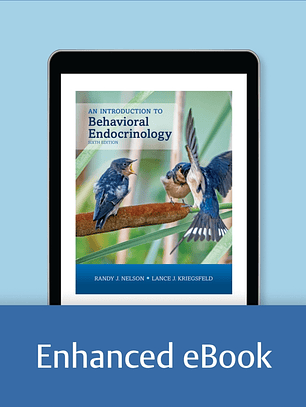 An Introduction to Behavioral Endocrinology 6th Edition