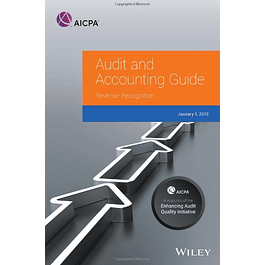 Audit and Accounting Guide: Revenue Recognition 2019
