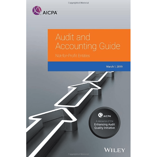 Audit Risk Alert: Not-for-Profit Entities Industry Developments, 2019