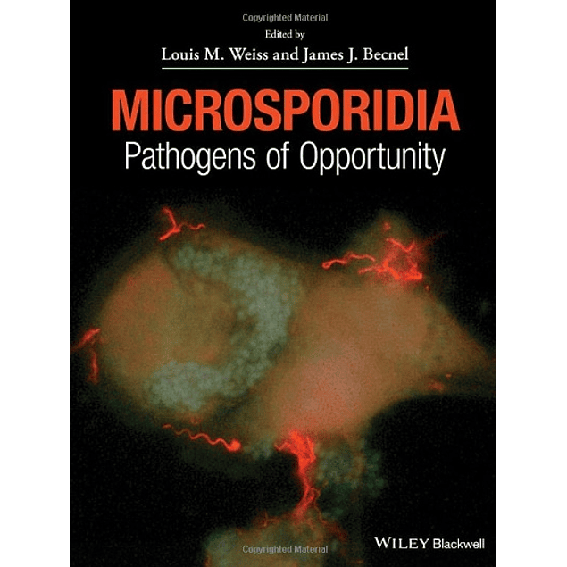  Microsporidia: Pathogens of Opportunity 