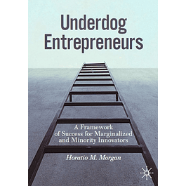 Underdog Entrepreneurs: A Framework of Success for Marginalized and Minority Innovators